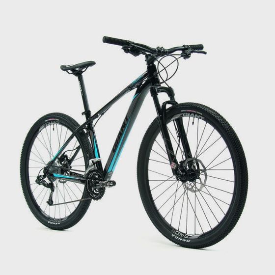Picture of Classic Mountain bike