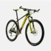 Picture of Custom Mountain bike 