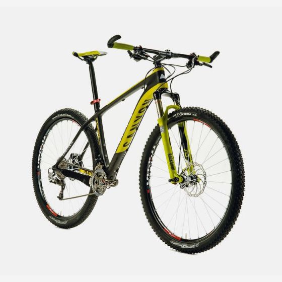 Picture of Custom Mountain bike 