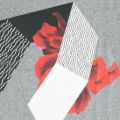 Picture of Classic T-shirt