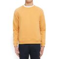 Picture of Graphic Raglan - Grouped